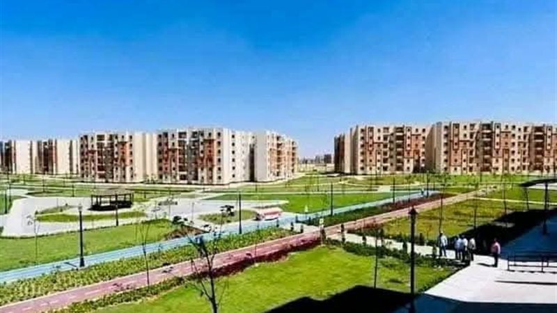 أعمال التشجير بأكتوبر الجديدة 