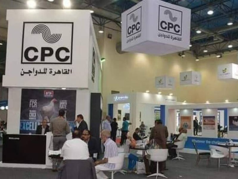 القاهرة للدواجن 