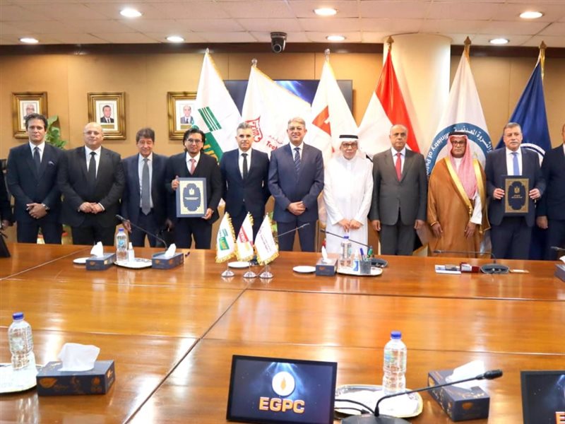 شراكة مصرية سعودية