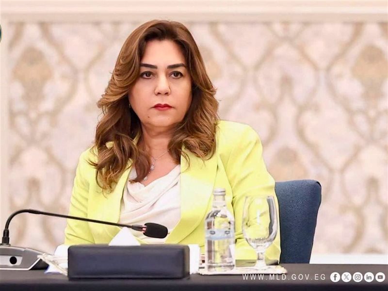 منال  عوض وزيرة التنمية