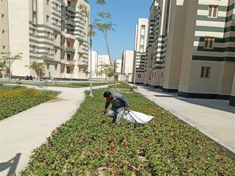زراعة أشجار بالعاشر من رمضان 