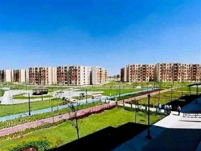أعمال التشجير بأكتوبر