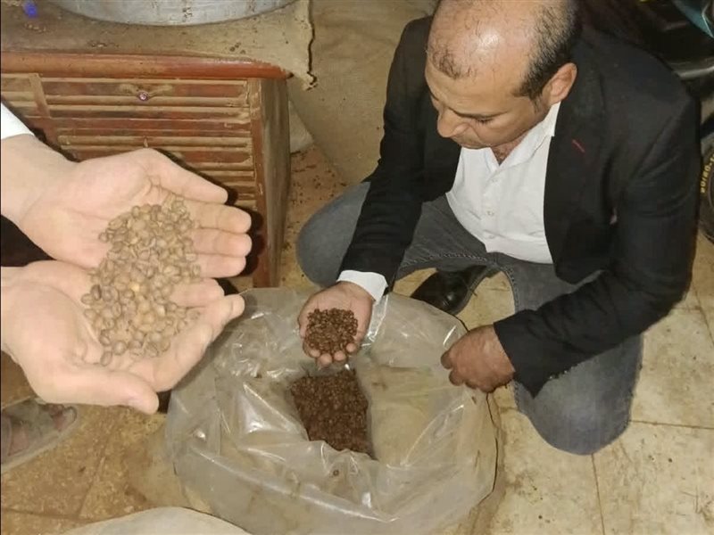 خلال حملة اليوم