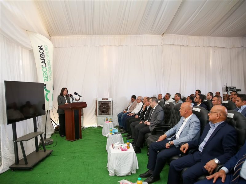 راندة المنشاوي وزيرة