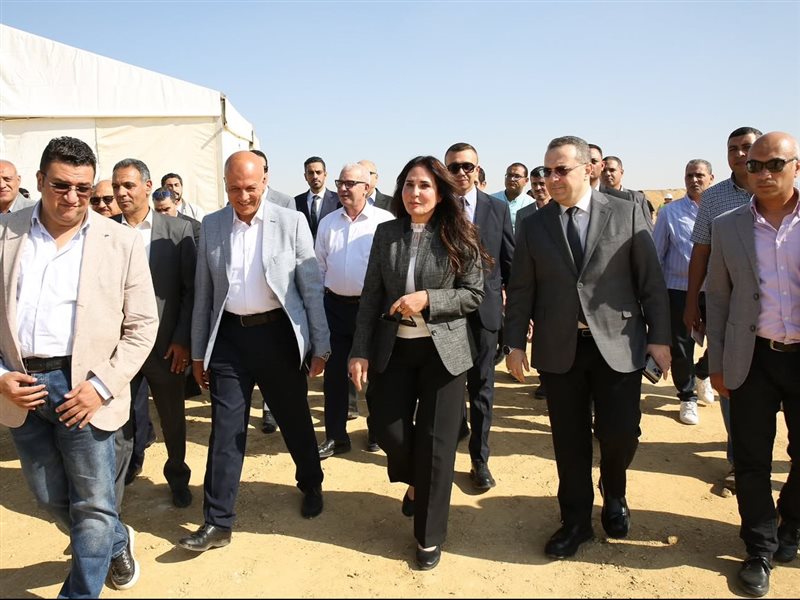راندة المنشاوي وزيرة