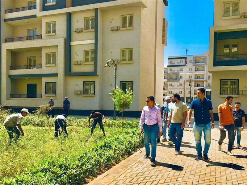 المهندس أحمد العربي،