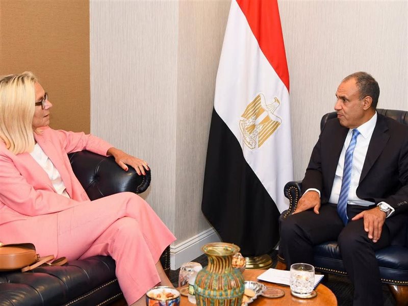 الدكتور بدر عبد العاطي، وزير الخارجية والتعاون الدولي 