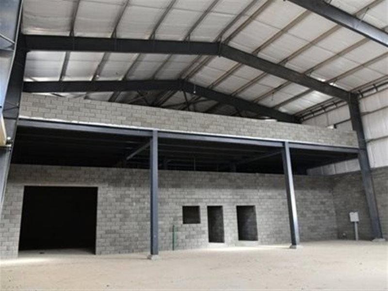 التنمية الصناعية