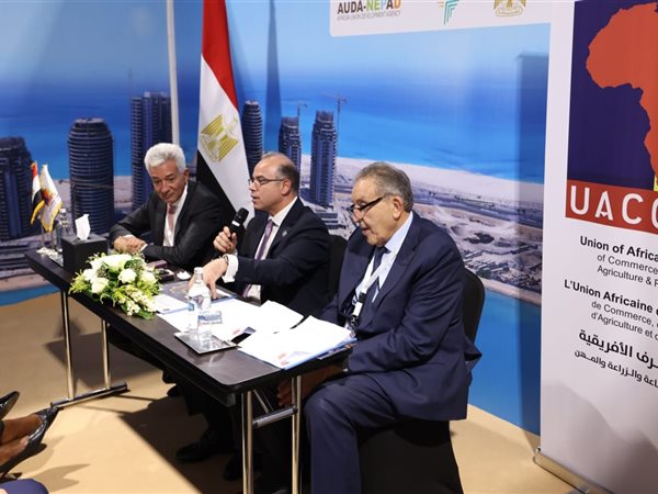 بالإجماع.. انتخاب أحمد الوكيل رئيسًا لاتحاد الغرف الأفريقية وعلاء عز أمينًا عامًا