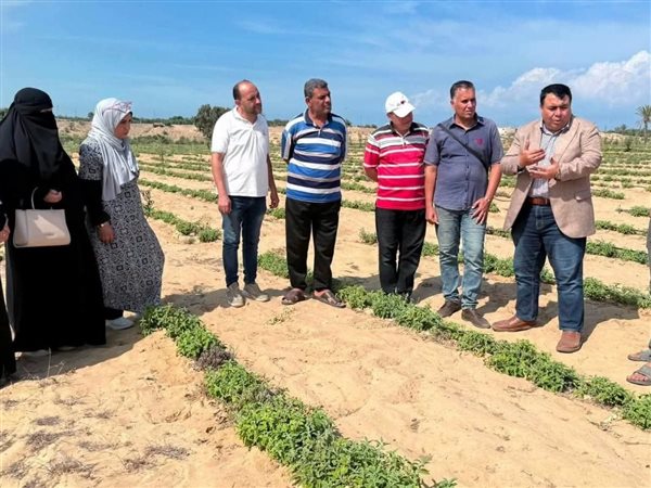 بعد 53 عامًا من نصر أكتوبر.. سيناء تتحول لقاطرة اقتصادية بمشروعات واستثمارات تاريخية ضخمة