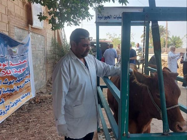  الزراعة تدعم قرية إفوة ببني سويف بقافلة بيطرية وتجهيز الأراضي للموسم الجديد
