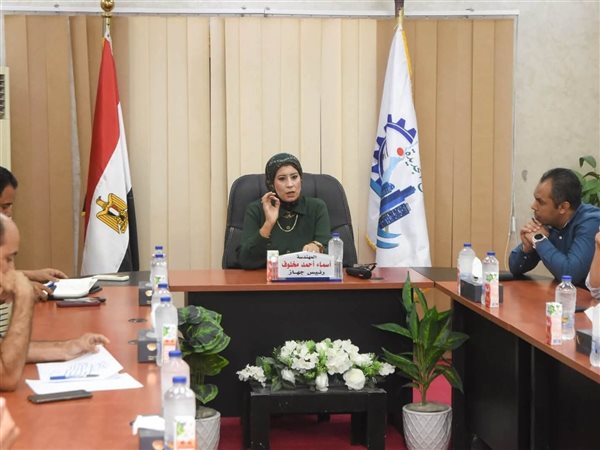 السويس الجديدة تسرّع التحول الرقمي..قاعدة بيانات ذكية لحماية شبكات المرافق ومنع الأعطال