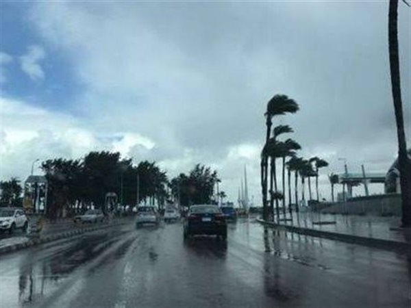 الأرصاد تحذر من الشبورة والأمطار الرعدية الثلاثاء.. والطقس شديد الحرارة جنوب الصعيد
