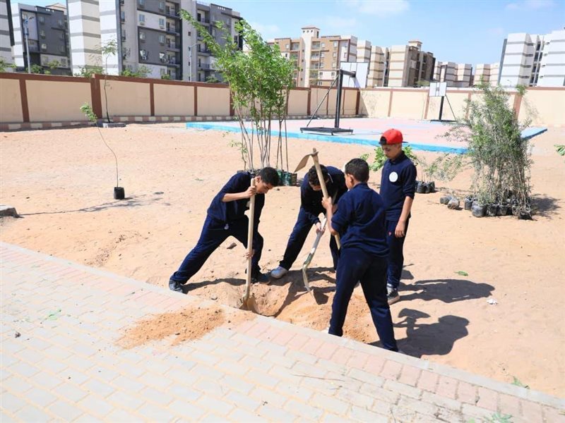 التنمية المحلية