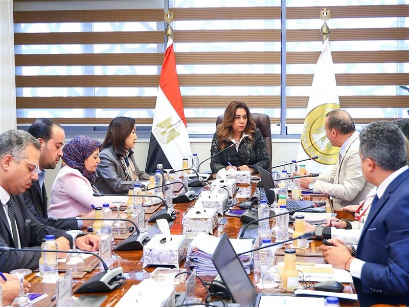 التنمية المحلية