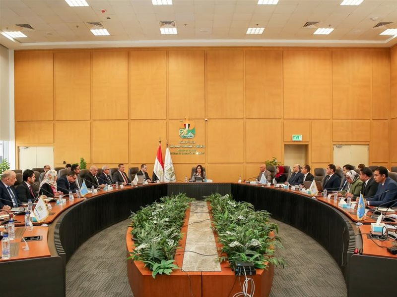 راندة المنشاوي وزيرة