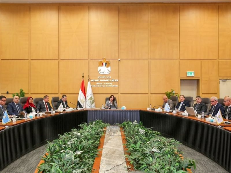 راندة المنشاوي وزيرة