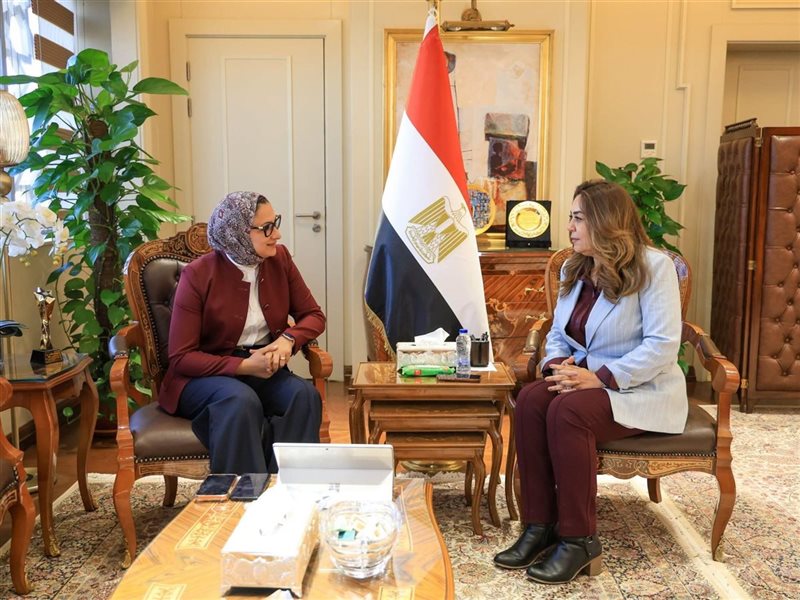 محافظ التنمية المحلية