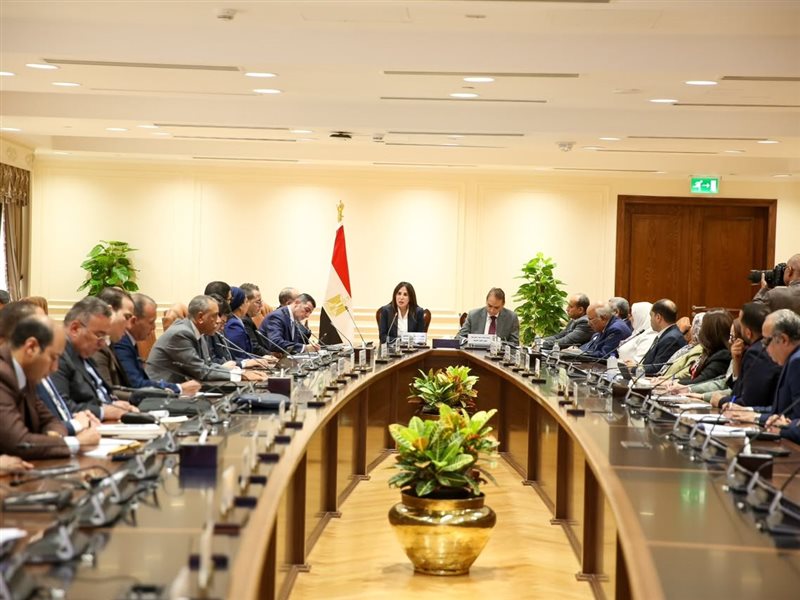 راندة المنشاوي وزيرة