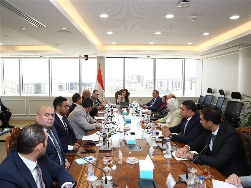 راندة المنشاوي وزيرة