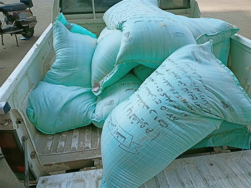 خلال حملة اليوم