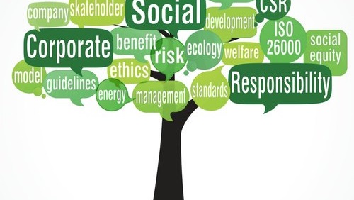 الإستدامة والتمويل sustainability and funding 3 أمثلة تثبت فوائد