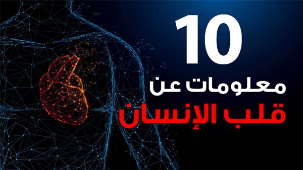 10 معلومات عن قلب